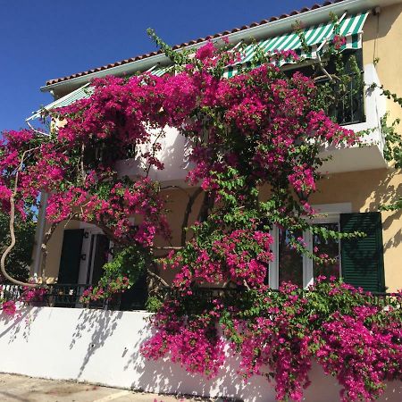 Casa Buganvilla Minia Bagian luar foto