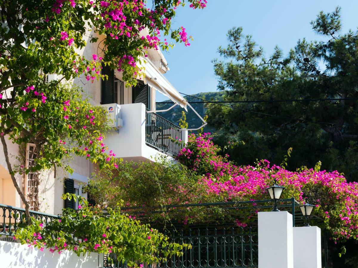 Casa Buganvilla Minia Bagian luar foto