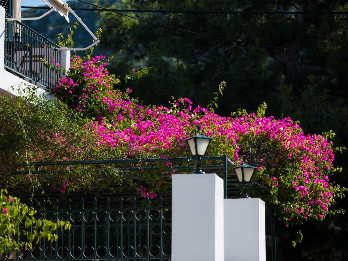 Casa Buganvilla Minia Bagian luar foto