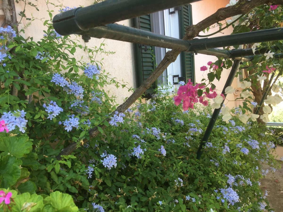 Casa Buganvilla Minia Bagian luar foto